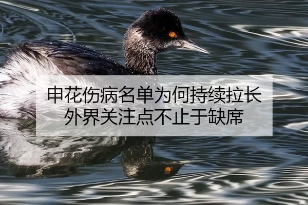 shen-hua-shang-bing-ming-dan-wei-he-chi-xu-la-chang-wai-jie-guan-zhu-dian-bu-zhi-yu-que-xi-2-830.jpg